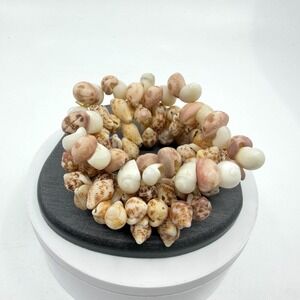 Natural Seashell Stretch Bracelet Set of 3 Cowrie Coastal Boho Beach Jewelry